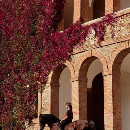 Amazzone a cavallo davanti a una villa con la vite americana rossa